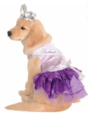 Prettiest Pooch Purple Pageant Queen Pet Costume